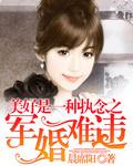 盛世军婚免费听书