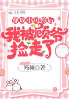 穿成小可怜后我被顾先生捡走了