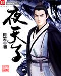 夜天子是什么电视剧
