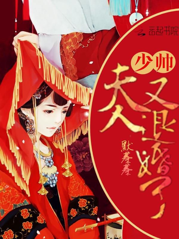 少帅夫人又逃婚