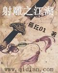 射雕侠侣