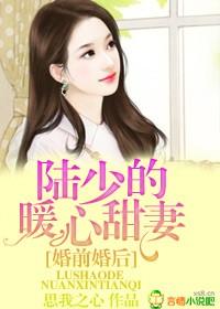 陆少的暖婚新宠