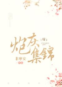 炮灰锦集