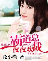 霸道总裁夜夜欢完整版