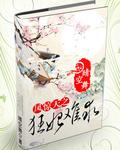 凤惊天全集