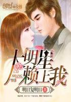 大明星赖上我免费阅读