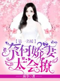 第一名媛奈何娇妻太会撩全文免费阅读le