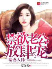 暖妻入我怀小暖
