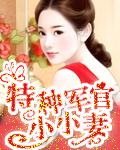 特种兵军官小小妻
