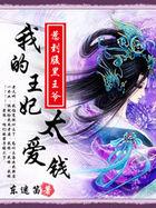 爆笑无良妃我的王妃太爱钱书包网