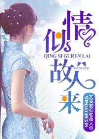 情似故人来晋江
