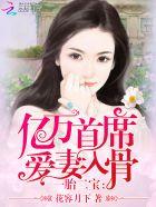 一胎二宝之亿万首席爱妻入骨