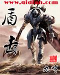 盾击丁和双热丁