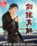 剑道真解等级