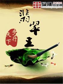 翡翠砍价王