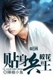校花的贴身兵王保镖 袁宁