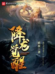 降龙觉醒手机看