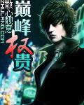 巅峰权贵TXT精校版