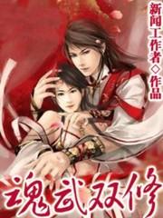 魂武双修扫书