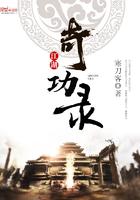 江湖奇功录全文阅读