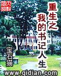重生之我的书记人生1279章