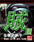 贼胆拼音
