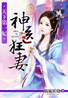 天下神医宠妃