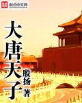 电视剧大唐盛世