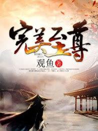 完美至尊 简介