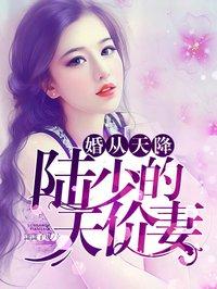 天价妻约陆少漫漫追妻