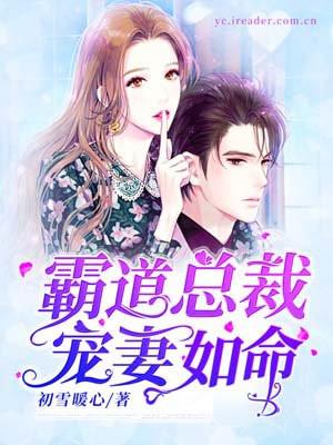 霸道总裁宠妻如命全文