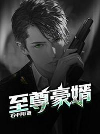 _至尊神婿叶昊郑漫儿