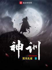 神舟十九号