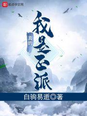 我真的是正派呀原名