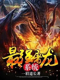 最强屠龙系统顶点