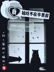 我拍戏不在乎票房读者