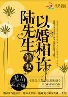 陆先生偏要以婚相许全文