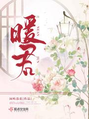 暖君大结局