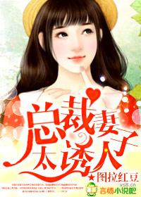 总裁老婆太狂野