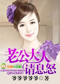 老公大人请淡定免费阅读全文
