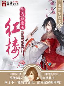 红楼衙内贾宝玉女主