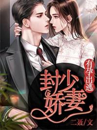 书名 封少娇妻有孕出逃