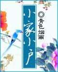 小家什么