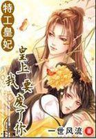 特工王妃皇上