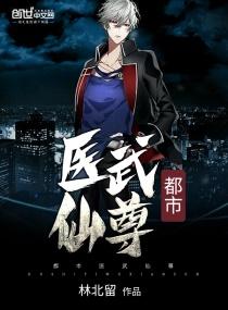 都市医武仙尊简介