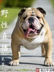 野性讲了什么