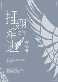 插翅难逃电视剧50全集在线观看