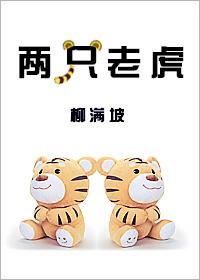 两只老虎壮骨麝香止痛膏