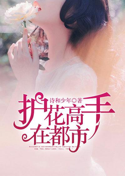 护花高手在都市目录