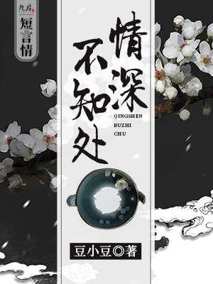 情深不知处电视剧免费观看